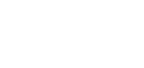 Chippendale 300 Chippendale 300